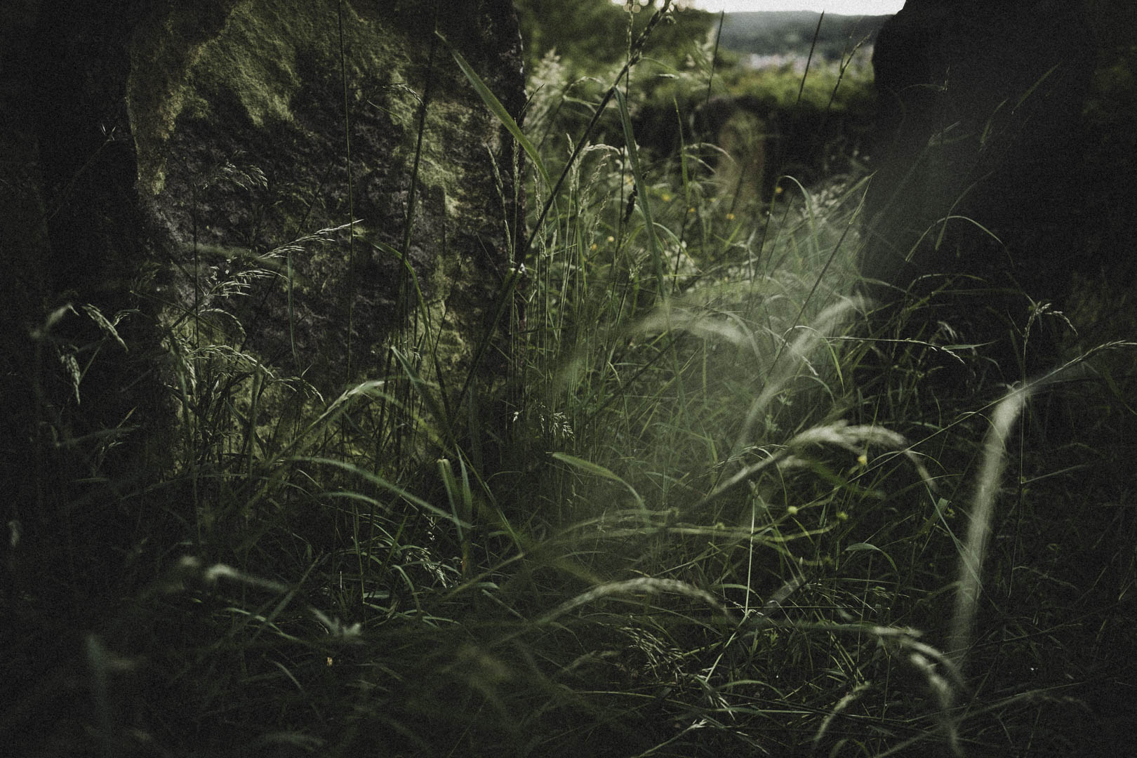 Aufenau Jüdischer Friedhof